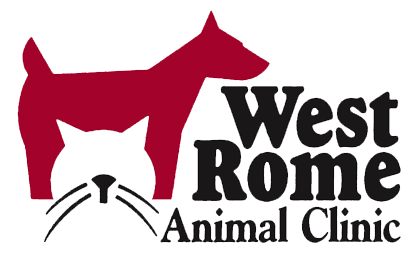 West Rome Animal Clinic | Veterinarian in West Rome, GA