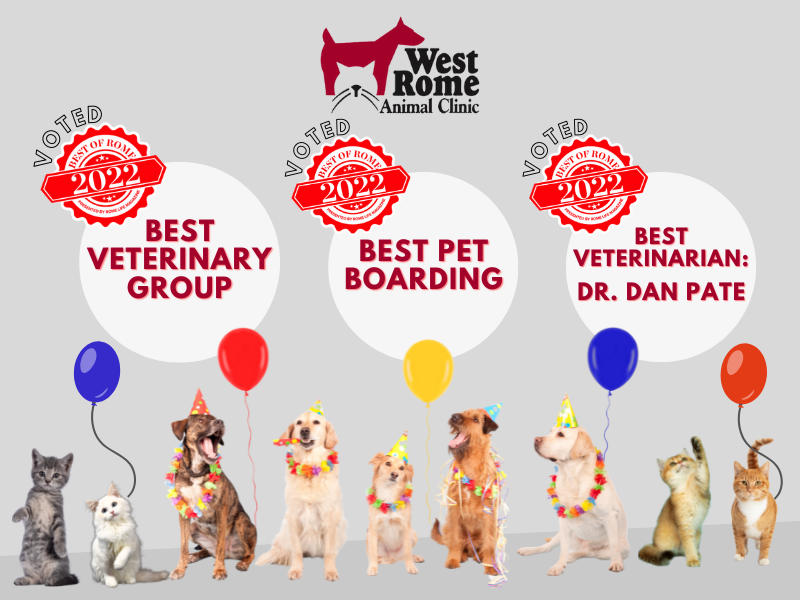 West Rome Animal Clinic_ Best of Rome 2022_ Website Pop-up